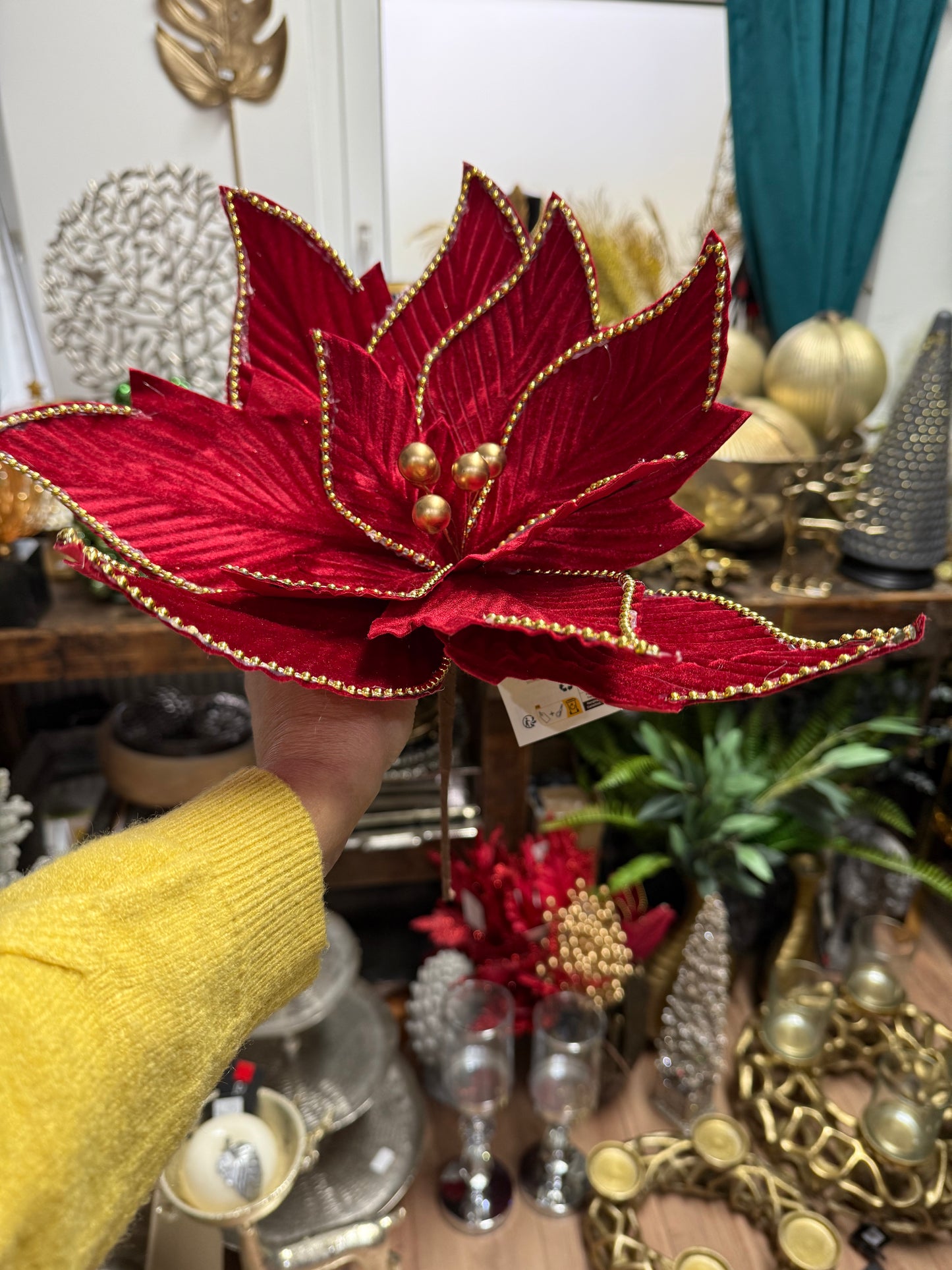 ✨ Wunderschöne Weihnachtsstern-Blüte – edel & festlich ✨