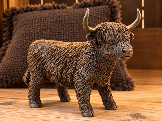 Dekorative Highland Kuh / Schottisches Hochlandrind