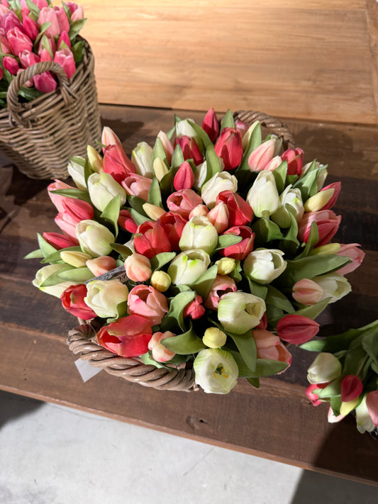 Premium Silikon Tulpen