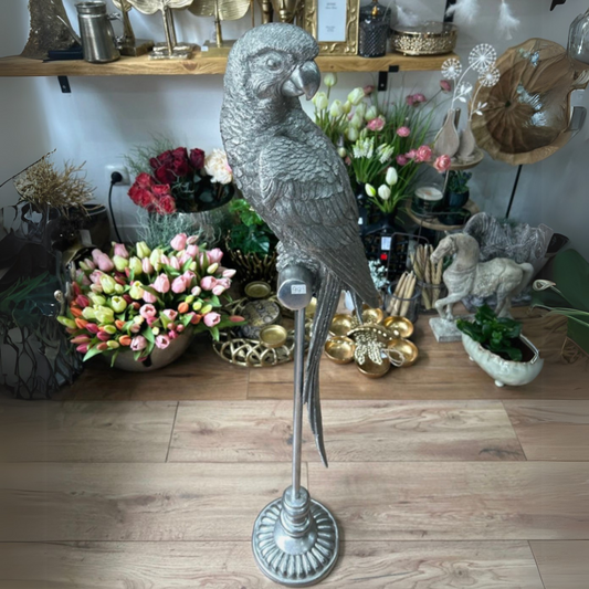 Decoratie Beeld Papagei
