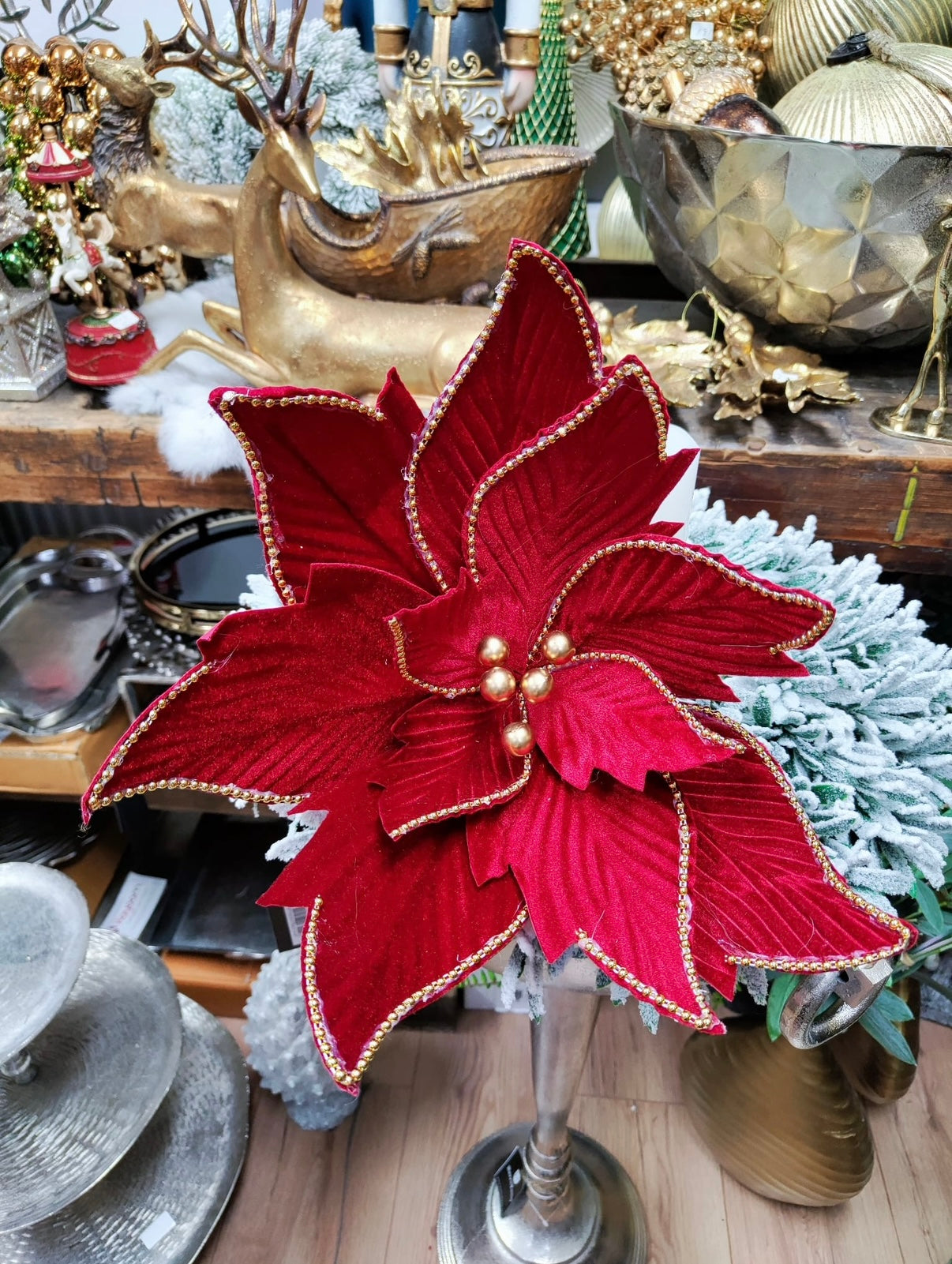 ✨ Wunderschöne Weihnachtsstern-Blüte – edel & festlich ✨